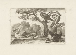 Kip se setkal s kuikens en andere vogels Různí ptáci (název série) Nejdokonalejší figurky různých ptáků (...) (název série) od Pieter Schenk (I) (attributed to)