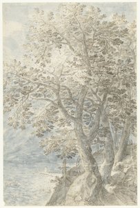 Stromy u strmé skalní stěny od Pieter Stevens (I)