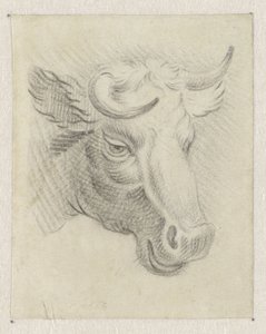 Hlava krávy od Pieter de Goeje