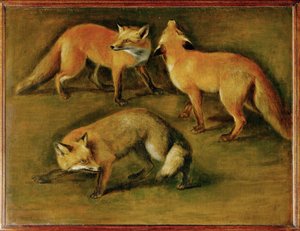 Liška (malba na plátně)
