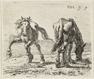 Německy: Zwei Pferde auf einer Weide
francouzsky: Les deux chevaux au pâturage
Dva koně na louce od Pieter van Laer