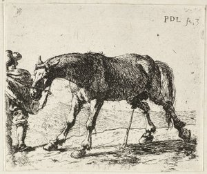 Čůrající kůň od Pieter van Laer