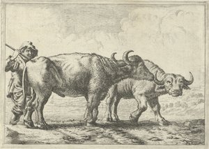 Dva bizoni a pastevec od Pieter van Laer