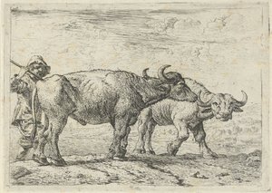 Dva bizoni a pastevec od Pieter van Laer