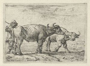 Dva bizoni a pastevec od Pieter van Laer