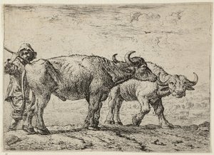 Dva bizoni a pastevec od Pieter van Laer