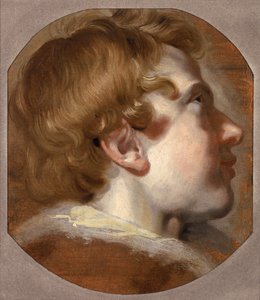 Head of a Young Boy, cca 1620 (olej na papíře)