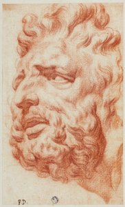 Hlava Laocoonu