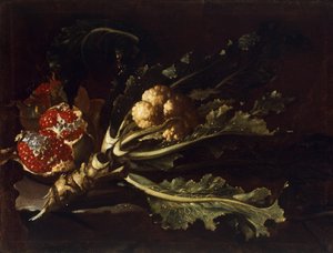 Květák a granátová jablka od Pietro Paolo Bonzi