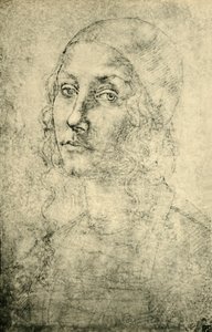 Portrét ženy, konec 15.-začátek 16. století, 1943. od Pietro Perugino