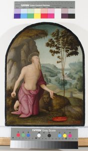 Svatý Jeroným v divočině, kolem 1510-15 od Pietro Perugino