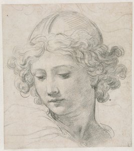 Studie pro hlavu svatého Michala od Pietro da Cortona
