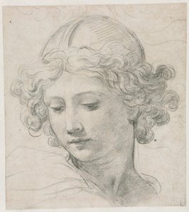 Studie pro hlavu svatého Michala, 1633. od Pietro da Cortona