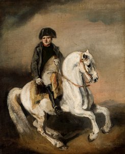 Napoleon na koni (olej na plátně)