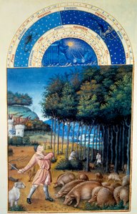 Listopad: porážka žaludů. Miniatura v „Velmi bohaté hodiny vévody z Berry“ od Pol De Limburga (15. století). Chantilly, Musee Conde