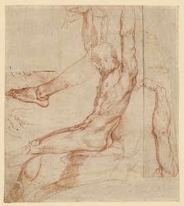 Studie muže s různými skicami (recto); studie mužské zahalené nohy (verso) od Polidoro da Caravaggio (Polidoro Caldara)