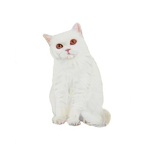 Britská krátkosrstá bílá, 2014 (akvarel a kvaš na papíře)