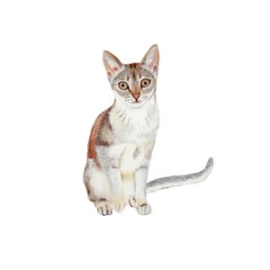 Singapur, 2014 (akvarel a kvaš na papíře)