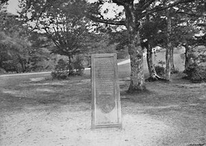 Rufusův kámen, New Forest, c1896