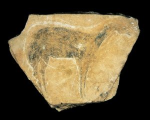 Černá laň, jeskyně Parpallo, Španělsko, svrchní paleolit (malba) od Prehistoric Prehistoric