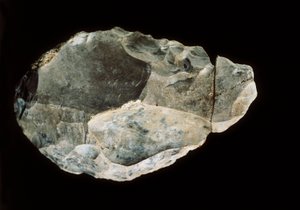 Oboustranný křemen, svrchní paleolit (křemen) od Prehistoric Prehistoric