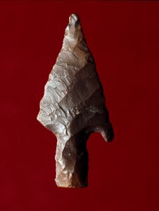 Egyptský starověk: hrot šípu z místa Fayoum (Fayyum nebo Fayum) v Egyptě. Predynastické období. Verone, Museo Civico di Storia Naturale, Itálie od Prehistoric Prehistoric