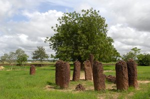 Pravěk: Megalitický kruh kamenů z Wassu, Gambie (foto) od Prehistoric Prehistoric