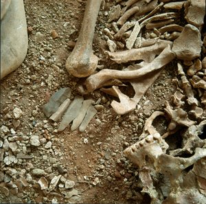 Pravěk: dvojitá hrobka dospělých a dětí. Detailní pohled na pohřební kalhoty z jeskyně Candid Arene (Finale Liguria), Ligurie. Mesolithic, 7000-6000 BC. Genes, museo di archeologia ligure od Prehistoric Prehistoric