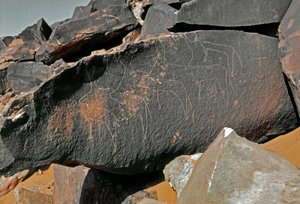 Pravěk, skalní umění: hrobová skála reprezentace dobytka. Styl Tazina. Doba kamenná 5000-2000 před naším letopočtem. Taghit, Haut plateau du Hoggar (Ahaggar), Alžírsko od Prehistoric Prehistoric