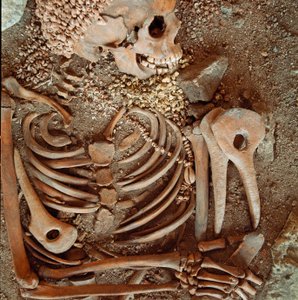 Prehistorie: kostra a pohřební úbor teenagerů o mladém princi z jeskyně Arene Candide (Finale Ligure): náhrdelník z mušlí, jeleního rohu a pazourku. Doba kamenná, svrchní paleolit. Genes, Museo di archeologia Ligure od Prehistoric Prehistoric