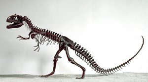 Závěsný od Prehistoric Prehistoric