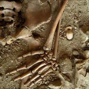 Prehistorie: hrob náctiletých. Detailní pohled na pohřební kalhoty z jeskyně Candid Arene (Finale Ligure), Ligurie. Horní paleolit, 24 000 před naším letopočtem. Genes, museo di archeologia ligure od Prehistoric Prehistoric