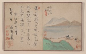 Osm albových listů z miniaturního alba (osm albových listů z miniaturního alba; tuš a barva na papíře)