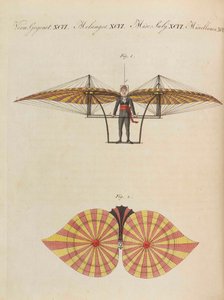 Dětská obrázková kniha Dětská encyklopedie Friedricha Johanna Justina Bertucha, 1798-1830.