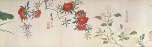 Květiny, Handscroll (inkoust a barva na papíře) od Qing Dynasty Chinese School