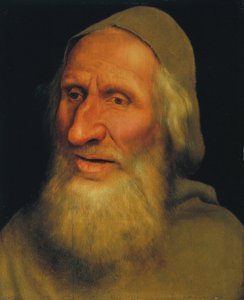 Hlava starého muže od Quentin Massys or Metsys