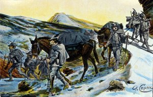 První světová válka: skupina italských alpských lovců v uznání svými mulami v roce 1915. Ilustrace Quinto Cenni (1845-1917) od Quinto Cenni