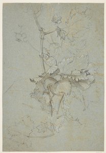 Studie rostlin od Rachel Ruysch