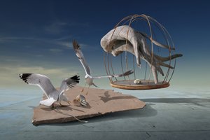 Rackové unikli ze surrealistické klece od Radoslav Penchev