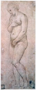 Studium Venuše, c1500-1520 od Raffaello Sanzio Raphael