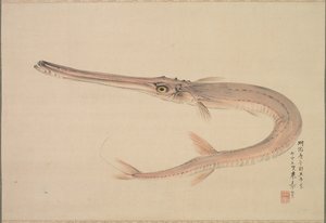 Needlefish Lived, 1870. od Raisho Nakajima