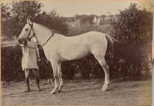  od Raja Deen Dayal