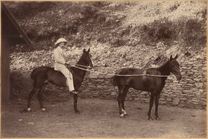  od Raja Deen Dayal