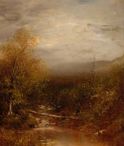 Pool v Adirondacks od Ralph Albert Blakelock