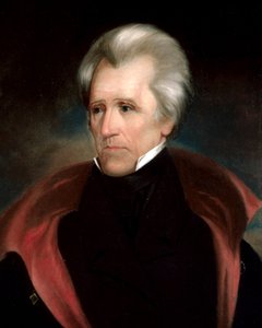 Hlava Andrewa Jacksona (oříznutý formát 4x5)
