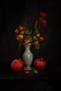  od Ramiz Sahin