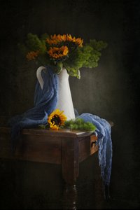  od Ramiz Sahin