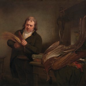 Ornitolog, možná John Latham od Ramsay Richard Reinagle