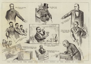 Návrh zákona o rozpravě o zbraních (Irsko), poznámky v Dolní sněmovně od Randolph Caldecott