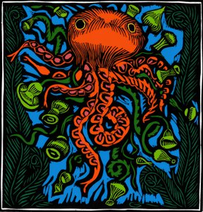 Zoologie / Mořský život / Chobotnice od Raoul Dufy